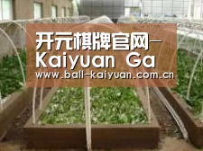 环境展示五