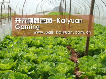 种植基地五