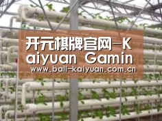 环境展示六