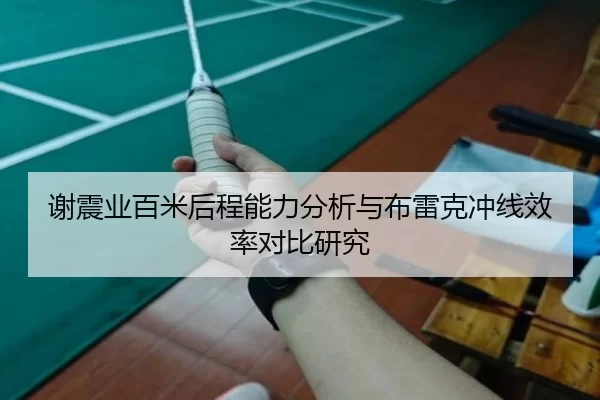 谢震业百米后程能力分析与布雷克冲线效率对比研究